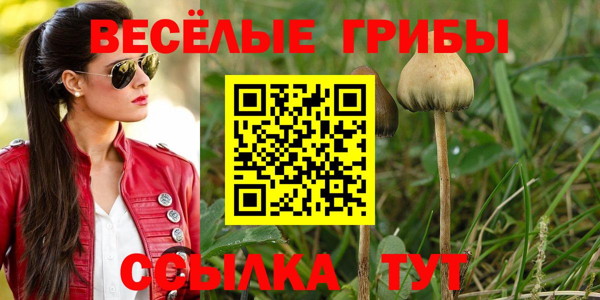 Изобильный  Псилоцибиновые грибы Psilocybine cubensis  Галлюциногенные грибы MAGIC MUSHROOMS  Вход с VPN 
